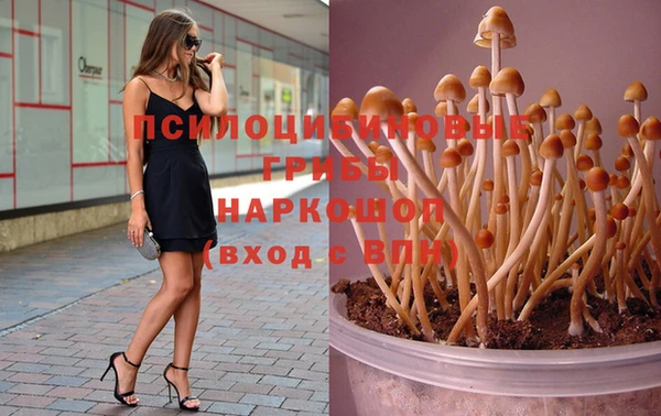 прущая мука Переславль-Залесский