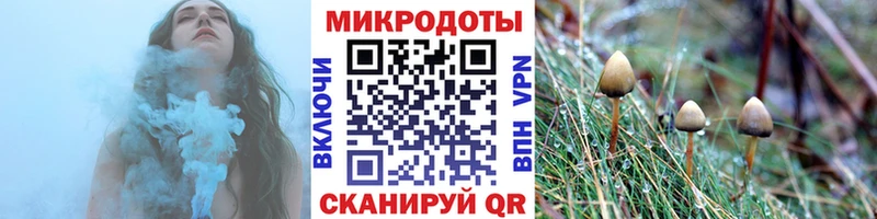 Псилоцибиновые грибы мицелий  Алатырь 